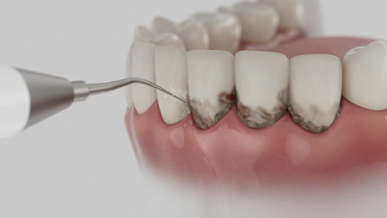 Reliable Dental contractor in Cashton, WI by Dentist Open Now